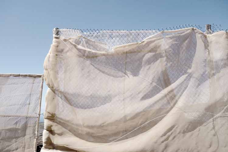 monika_m_seibel_fence on dune/09686.jpg width=